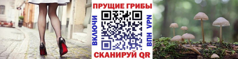 Купить закладки Игарка Галлюциногенные грибы мухоморы